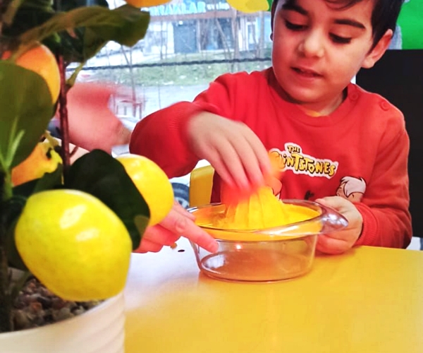 C Vitamin Şenliği